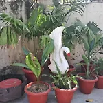 The Paradise Homestay